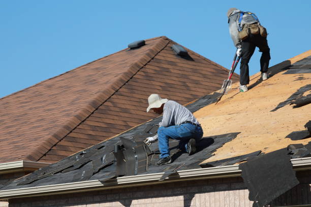 Best Roof Maintenance and Cleaning  in Montpelier, VT