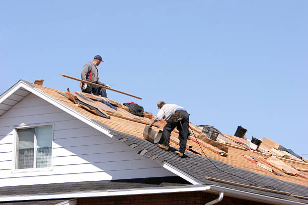Best Green or Eco-Friendly Roofing Solutions  in Montpelier, VT