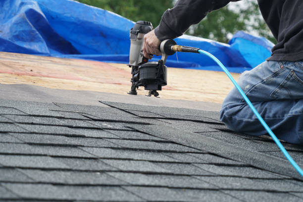 Best Roof Insulation Installation  in Montpelier, VT